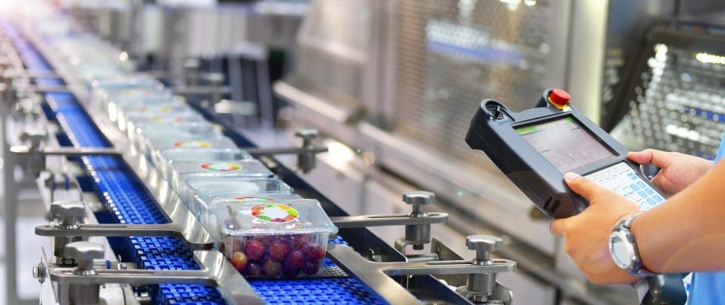 A conveyor belt with a line of berries in plastic packaging